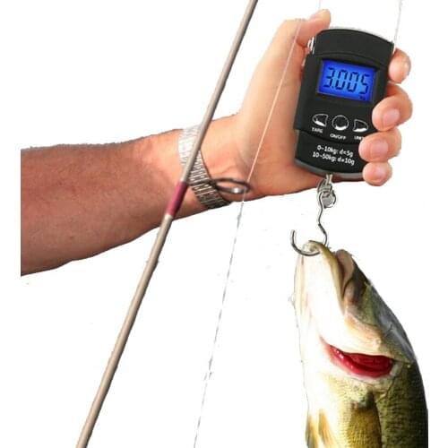 110lb/50kg Portable Electronic Digital Scale Hanging Hook Fishing Travel Double Precision Luggage Weight Scale Balance Scales