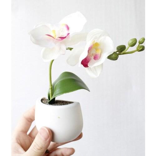 Succulent Plant Fridge Magnets Label Mini Bonsai Magnet Button Potted Simulation Plant Refrigerator Message Sticker Home Decor