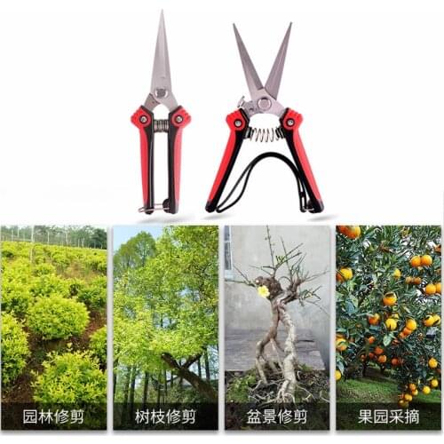 FHUAMR Secateurs