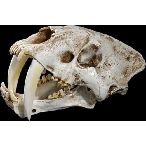 1:1 Saber-Toothed Tiger Resin Replica Skull Head Model Home Bar Decor Halloween Decoration Gifts