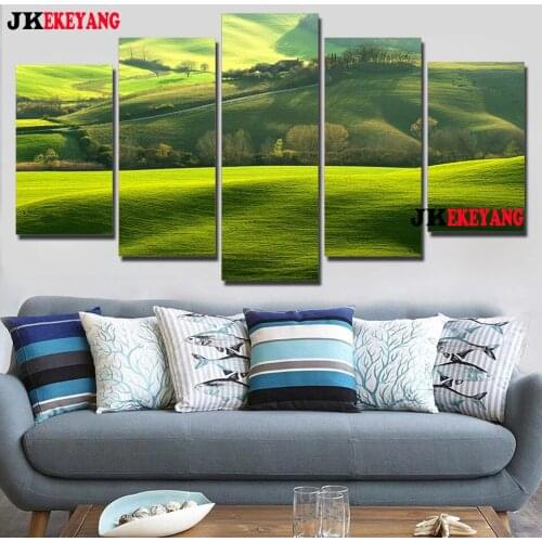 5pcs 5D Diy Diamond embroidery"grassland"Cross Stitch full square diamond painting,puzzle,decorations for home Y4073
