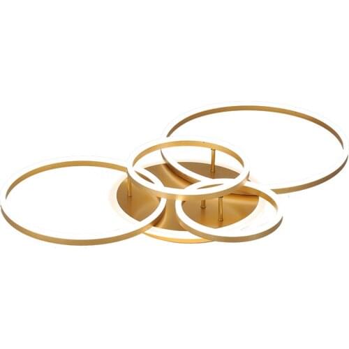 Nordic Gold LED Ceiling Chandelier Lighting for Living Room Decoration Modern Circle Indoor Lighting Ceiling Lamp Luminaire