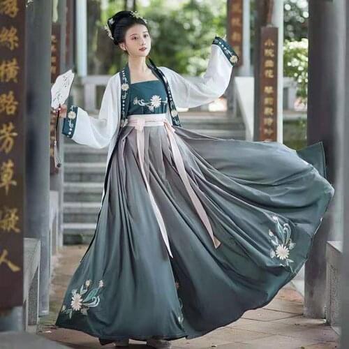 Chinese Traditional Folk Fairy Blue Dress Women Dance Stage Performance Outfit Ancient Hanfu Costumes New Year Adult Tang Suit
