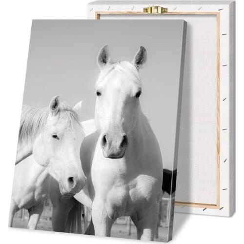 HD Home Decor Printing Animals Arab Horses Canvas Wall Art Oil Painting Living Room Decoration with Frame