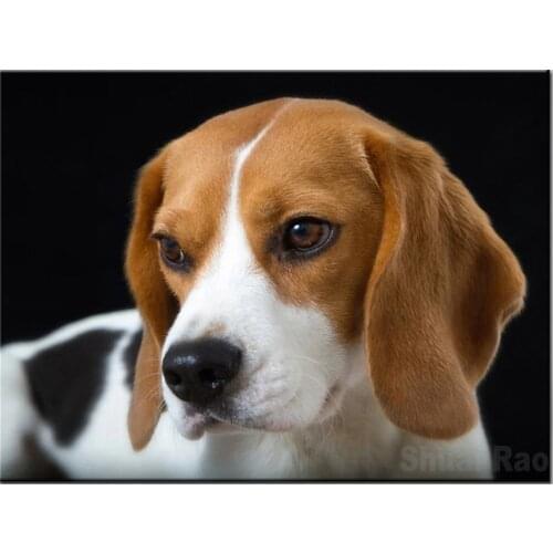 Animal Dog Beagle Printed Canvas 11CT Cross-Stitch DIY Embroidery Kit DMC Threads Handicraft Hobby Painting Needlework Floss