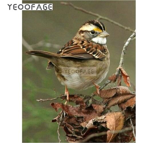 Full DIY 5D Diamond Mosaic picture Diamond Painting Cross Stitch Kits Diamond Embroidery sparrow Patterns square Rhinestones