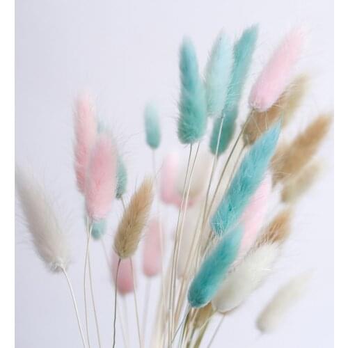 Free Shippiong 100pcs Weeding Decor Natural Dried Flowers Bunch Mixed Color Rabbit Tail Grass for Home Real Flower Bouquet
