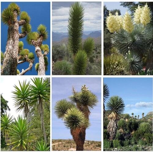 DIY Photo Town landsca Custom Diamond Painting Picture of Rhinestones diamant painting Embroidery Beadwork Cross Stitch 5D Full