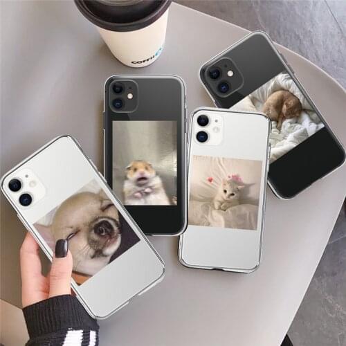 For iPhone 11 12 Pro Max 7 8 Plus XR X XS Max 12Mini SE 2020 Fashion Funny Transparent fundas Animal Shockproof Cute Phone Case