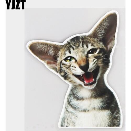 YJZT 12.5×15.4CM Cut Cat Funny Animal Window Decoration Stickers Creative Cartoon Car Accessories 21A-0167