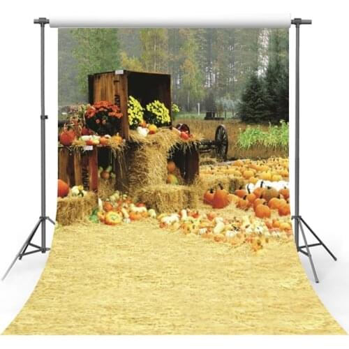 Fall Farm Backdrops Countryside Photography Studio Props Pumpkins Haystack Wooden Case Flower Hay Rural Autumn Background