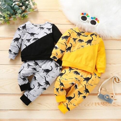 2PCS Set Newborn Baby Boy Girl Long Sleeve Pullover Tops Dinosuar Pattern Long Pant Outfits Spring Autumn Clothes