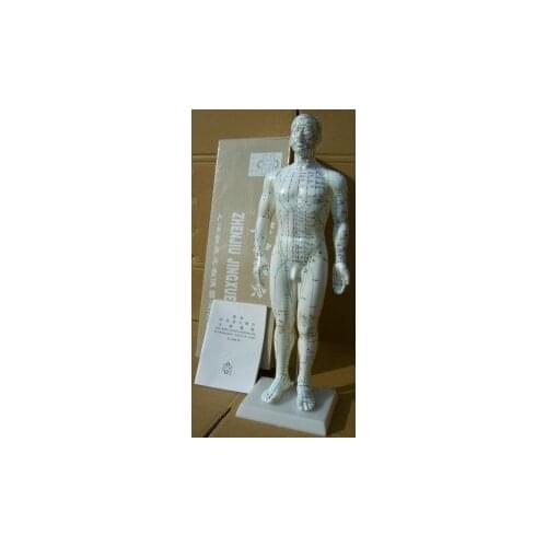 50CM human acupuncture model body acupuncture points model Meridian (English)