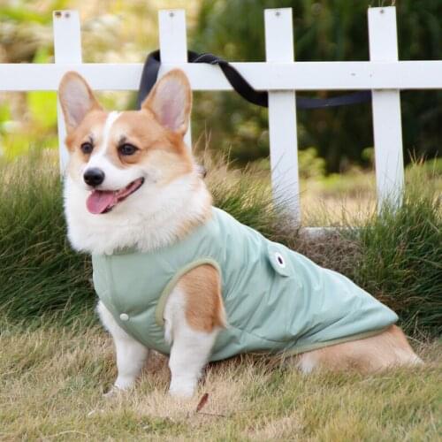 Cotton Soft Dog 2021 Hot Sell Coat Winter Frog Design Windproof Warm Cat Pet Clothes Sweatshirt For Medium Dogs French Bulldogs