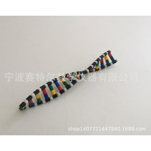DNA Double Helix Structure Model Component Middle School Biology Student Experiment Equipment
