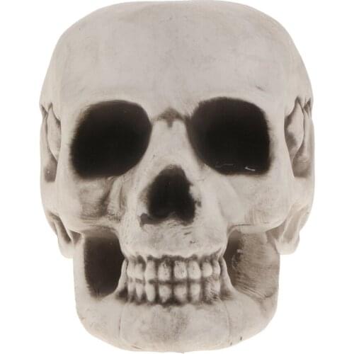 Lifelike Human Skull Head Figurine Skeleton Model Collectible Crafts Halloween Decoration Gift