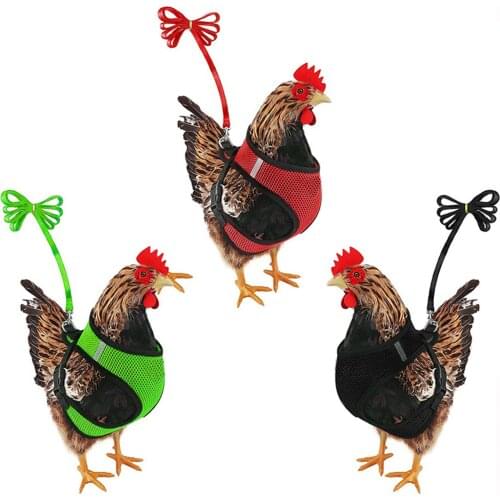 Summer Cat Chicken Cool Mesh Harness Pet Leash Straps Breathable Safety Puppy Cat Harness Adjustable Lightweight Functional