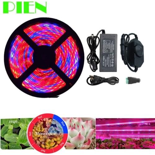 PIEN Phytolamps For Plants