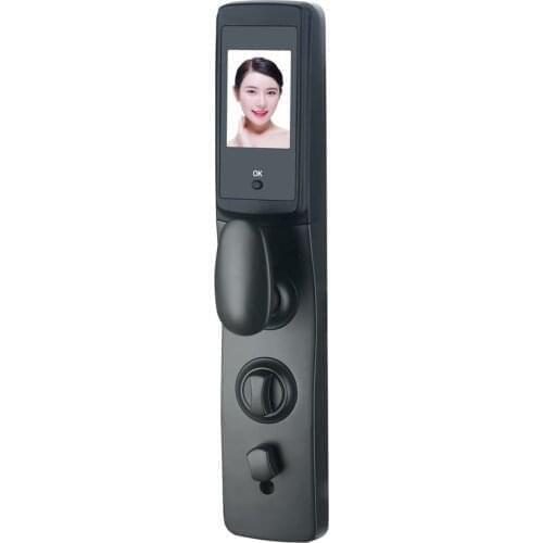 Qleung S921max Hot Sale Fully Automatic Peephole Camera Lock Code Key Card Fingerprint Smart Door Lock