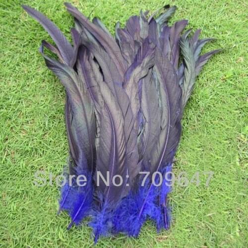 Blue Feather! 50pcs/Lot Half Bronze Rooster Coque Tails Feather Dyed Royal Blue 10-12" 25-30cm Long,Feathers Decoration