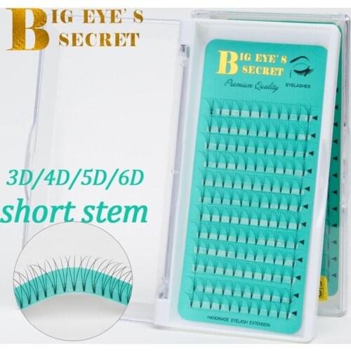 Big eyes secret Pre Made Fans False Eyelashes Russian Premade Volume Fans Natural 0.07 C Eye Lashes Makeup Extension Tools