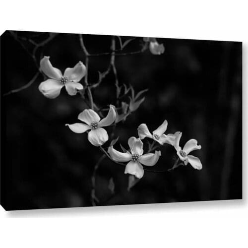 Home Decor Canvas Black Background Printed Poster Painting Modern Wall Art HD White Flower Pictures Living Room Modular No Frame