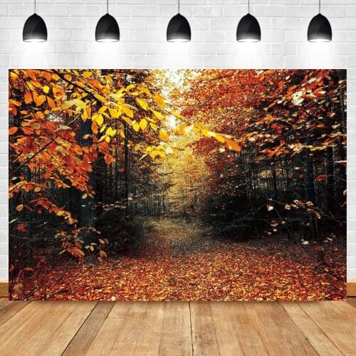 Laeacco Autumn Forest Natural Scenic Photographic Backdrop Fallen Maple Leaf Child Portrait Photo Background For Photostudio
