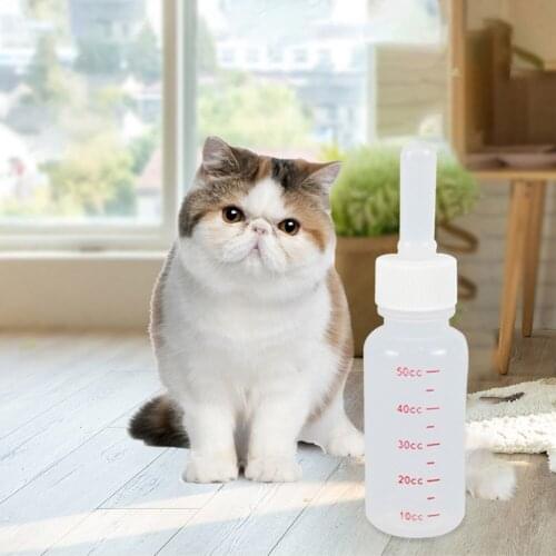 MOJOYCE Products For Dogs