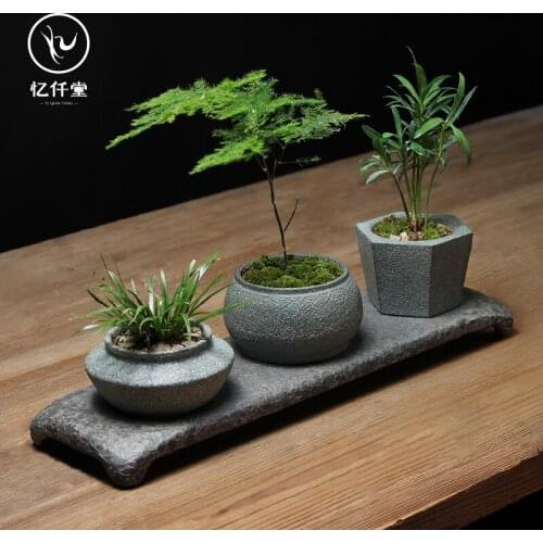 Creative Flower Pot Pot Asparagus Fern Money Small Zen Stone Landscape Set Assemblage Zone Tray