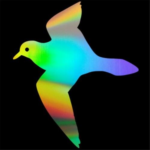Plover Bird Wall Glass Door Window Home Car Sticker Laptop Auto Truck Vinyl