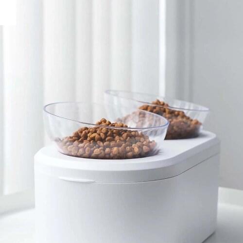 Cat Dog Raised Feeder With Airtight Storage Pet Detachable Food Water Bowl With Elevated Stand Double Bowl