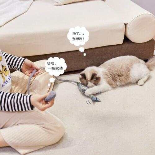 Pet tease cat artifact simulation fish cat toys interactive plush toys cat toys pet supplies cat Mint gnawing toy sound