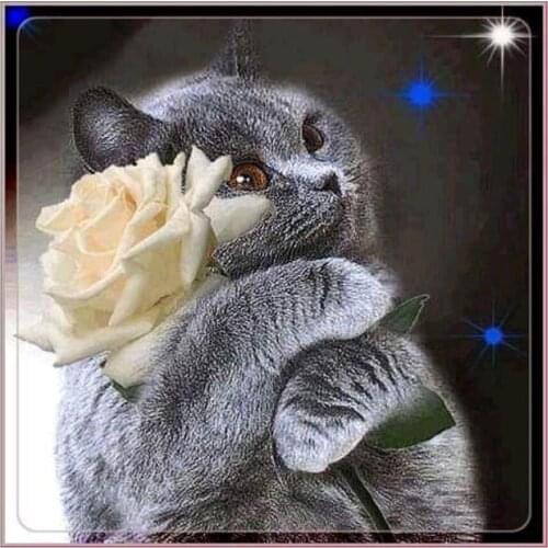 Frameless 5D Diamond Embroidery Painting Of Cat and Flower Cross Stitch Printing Wall Decoration Craft Kits