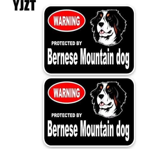 YJZT 15*11.4CM 2X Bernese Mountain Guard Dog Car Bumper Window Sticker Decal C1-4319