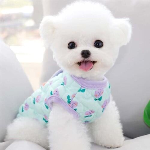 Pet clothes Teddy plush cotton coat VIP Bichon Hiromi cat puppies small dogs autumn and winter clothes dog clothes