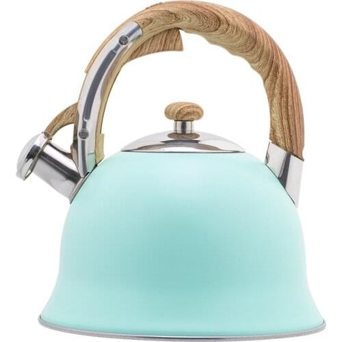 Blue whistle boiling kettle large capacity 3.5L European whistle boiling kettle household kitchen whistle boiling kitchenware