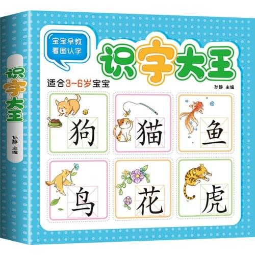 Chinese Books Learn Chinese First Grade Teaching Material Chinese characters Picture Early education Book 3-6 year for baby gift