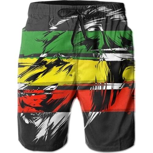 Mens Casual Shorts Jamaican Flag Lion Quick-Dry Swim Trunk Mens Swim Shorts with Mesh Lining