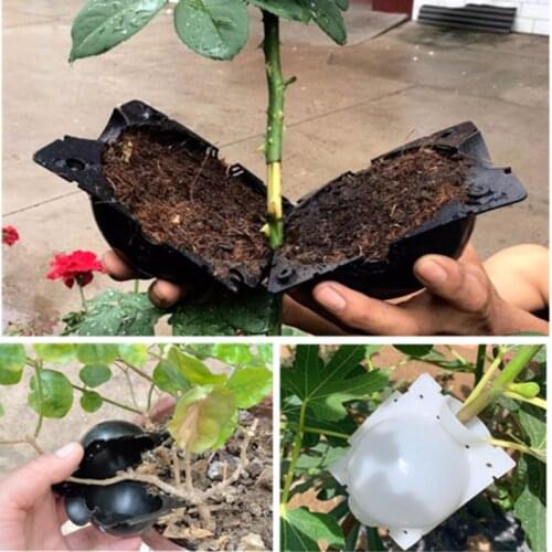 S/M/L Plant Rooting Ball Grafting Rooting Growing Box Breeding Case For Garden Pouch Root Plastic Flower Container Nursery Box