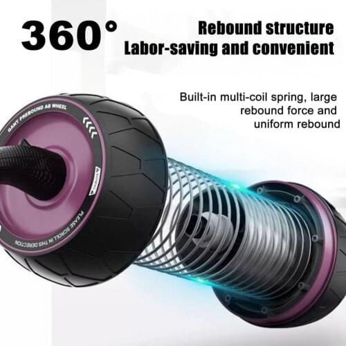 Exercise Roller Detachable Noiseless Plastic Lose Weight Abdominal Wheel for Fitness