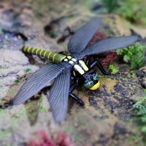 Simulation Insect Animal Action Figures Collection PVC Toy Kids Gift Solid Dragonfly Model Action Figure