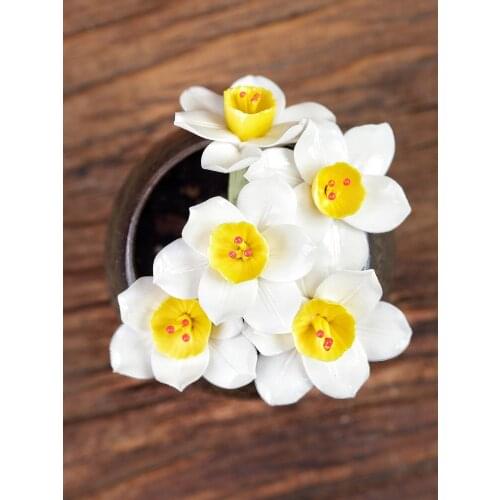 Home Decor Narcissus Creative Tea Pet Boutique Personality Pure Handmade Zen Table Accessories Улун Чай Chinese Tea