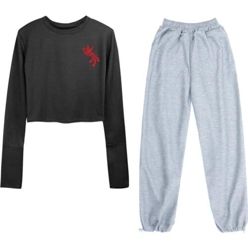 Aestethic Sweatshirt Kpop Dragon Crop Top Long Sleeve Cotton Harajuku T Shirt Women Wide Leg Sweatpant Two-piece Suits for Girls