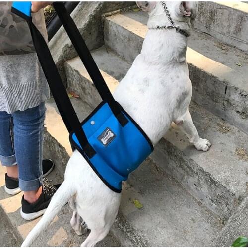 Dog Lift Support Harness with handle for older or injuries weak hind legs Canine Aid Dog Lift Harness Dog Mobility Harness