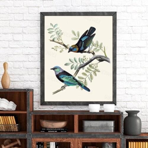 Bird Print Golden Hooded and Masked Tanagers Vintage Illustration Poster Bird Wall Art Canvas Painting Living Room Decor