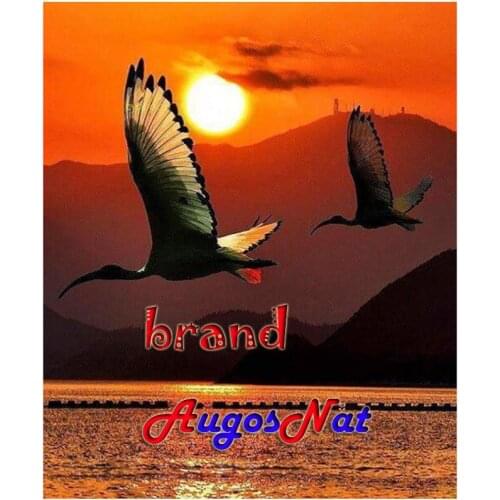 Full diamond painting sunset birds rhinestone embroidery sticker mosaic art decor diamond dots poster wall paper diy craft gift