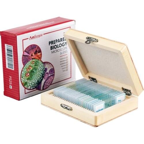 AmScope 25 Glass Prepared Microscope Slides with Wooden Box PS25