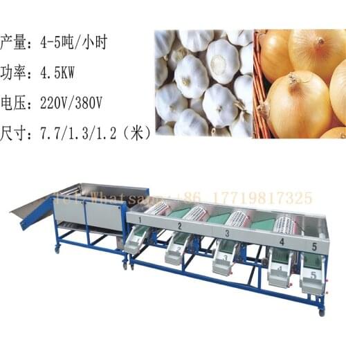 5 grades level garlic washing machine with garlic size sorting machine grader for sale