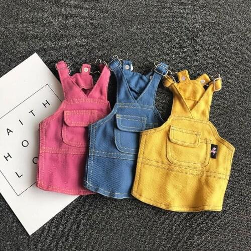 Cute Dog Dress Denim Skirt Autumn And Winter Denim Coat Pet Clothes For Dogs Cats French Bulldog Clothes Jeans Cat Clothing