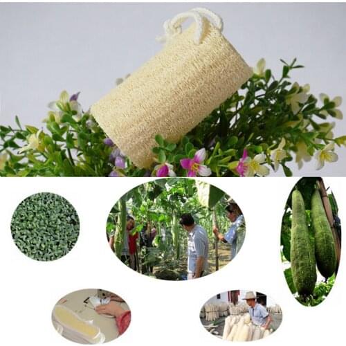 Natural Loofa Bath supplies Bath Spa message Body Scrubber Horniness Remover bathroom accessories
